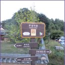 무섬마을관광안내소 Daum카페