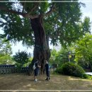 비석1길 이미지