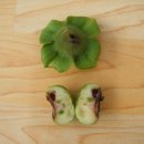 천지인농장 이미지