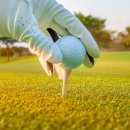 엘리트핏24 골프 이미지