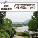 지에스25 대공원월드 | 인천대공원 아이랑 갈만한 곳 식물원 텐트 그늘막 쉼터 먹거리 데이트 주차
