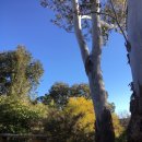 (주)펀라이드 이미지