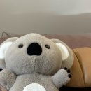 관악구왁싱포유슈가링서울대입구역점 네이버블로그