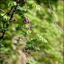 주홍목장 이미지