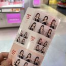 화이트게임랜드 이미지