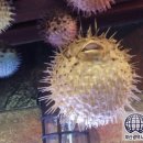 금수자동차정비 이미지