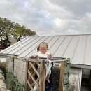 하귤과보리 이미지