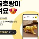 카톡닷컴 이미지