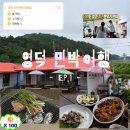 비똥구 | 영덕 1일차-(어시장해산물, 민박집)영덕여행이라하고 먹기만하는 첫째날