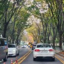 디지털문해교육 활동가 역량강화교육 이미지