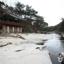 작천정민물매운탕 - 동구 화진2길 28 | 작천정민물매운탕
