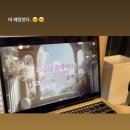 승민애견 | 11-2