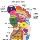 발건강 이미지