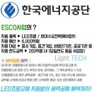 금조명 이미지