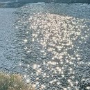 햇빛 찬란한 그 길 이미지