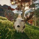 주식회사 펫프로젝트 이미지