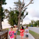 한주비치 이미지