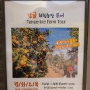 호텔감귤향기 이미지