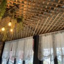 카페산책 이미지