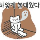 논산밋션 이미지