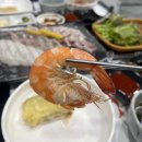 우남수산 | [오산맛집 : 해무] 대하철 꼭 가야할 가성비 오산횟집 대하구이, 새우회, 모듬회 내돈내산 후기