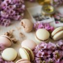 글쓰기 레시피, 봄 이미지