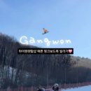강원하이렌탈