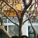 바이오벨리 체육공원 이미지