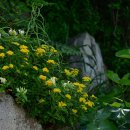 기린초등학교 이미지