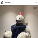 아토코퍼레이션 이미지