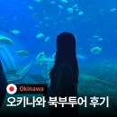 지노카서비스 | 오키나와 일일투어 북부 버스 이용 후기