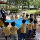 자연꿈나무어린이집 이미지