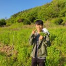 너브내마을밥상 이미지