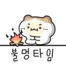 해마루 캠핑장 이미지