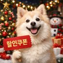 크리스마스 연휴 할인쿠폰받고 외식 커피 결제 (T멤버십 굿딜까지 모음)