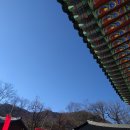 파란지 이미지