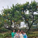 제주 기사투어