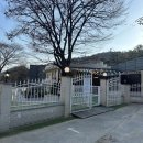 [ 시흥 / 경기 ] 플랜더스파크 | 강아지 애견 놀이터 운동장 카페 후기