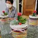 신기노인정 이미지