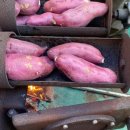 BK승마랜드 이미지