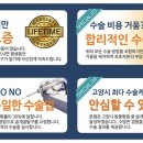 풍동 동물병원 이미지