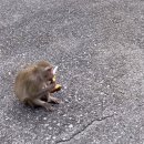 (주) 타이가든 이미지