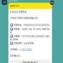 테티스 | 강습용 실내 수영복 추천 ｜ 테티스서울 미드 선셋 스윔 ｜수영복 후기