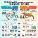 각산지 | 디지수산 산지직송 국내산 활 흰다리새우 구입 및 요리활용 후기