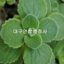 김덕수 행정사사무소 이미지