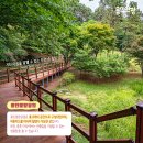 용인중앙공원 이미지