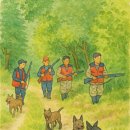 포항시남구50 이미지