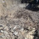 노은면사무소 이미지