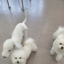 부산미용원