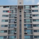 덕진-115 이미지